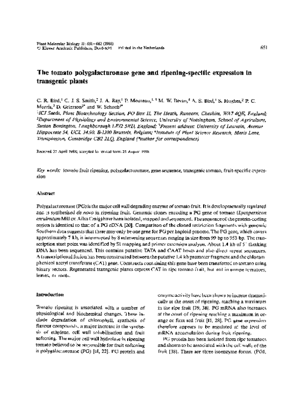 (PDF) The tomato polygalacturonase gene and ripening-specific ...