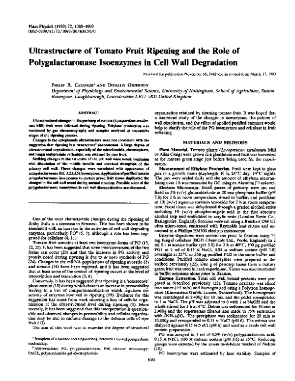 (PDF) Ultrastructure of Tomato Fruit Ripening and the Role of ...
