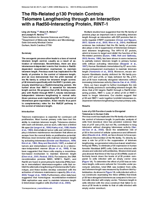Essay on rint1 07 image