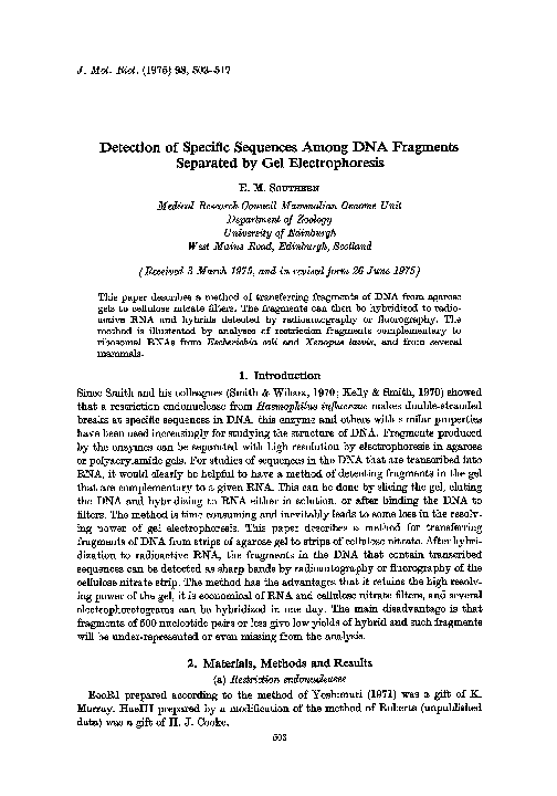 How to prepare tbe buffer image