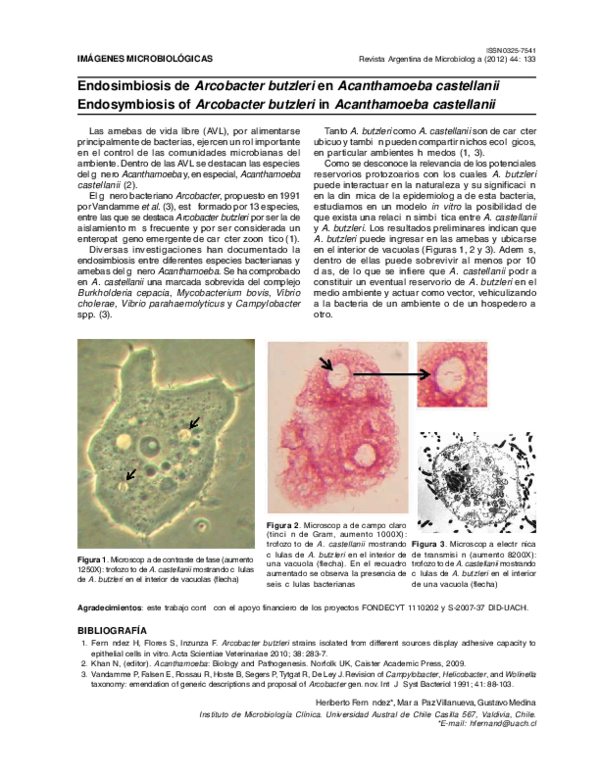 (PDF) Endosymbiosis of Arcobacter butzleri in Acanthamoeba castellanii