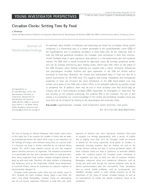 Circadian clocks essay picture