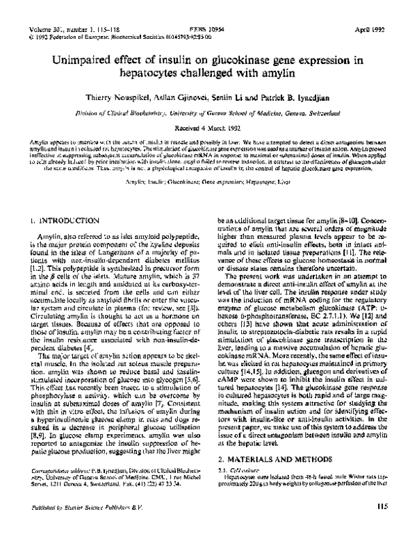 (PDF) Unimpaired effect of insulin on glucokinase gene expression in ...