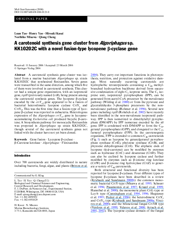 Good synthesis essay example image
