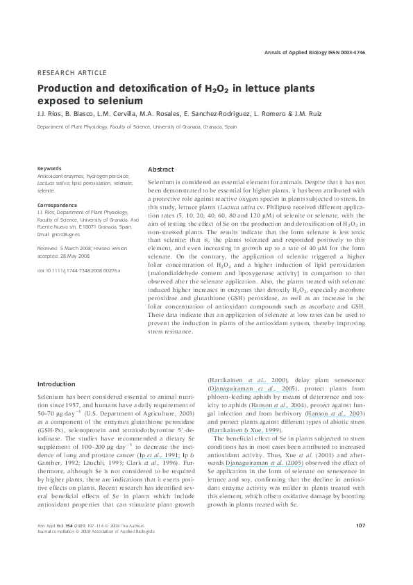 (PDF) Production and detoxification of H 2 O 2 in lettuce plants ...