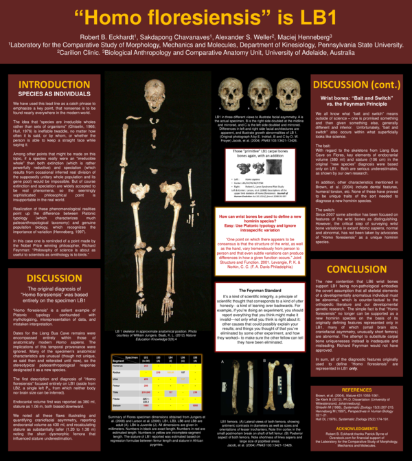 (PDF) “Homo floresiensis” is LB1