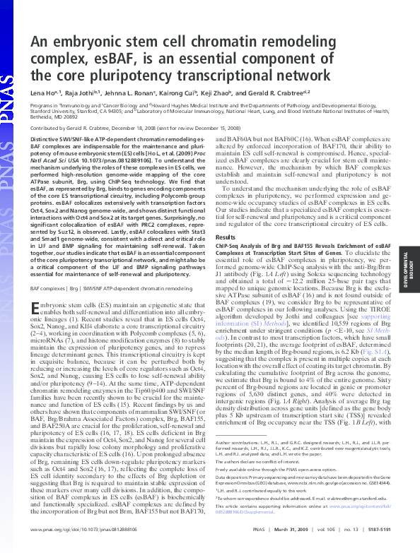 (PDF) An embryonic stem cell chromatin remodeling complex, esBAF, is an ...