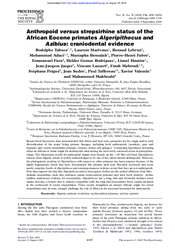 (PDF) Anthropoid versus strepsirhine status of the African Eocene ...