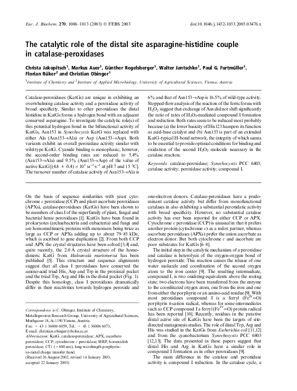 (PDF) The catalytic role of the distal site asparagine-histidine couple ...