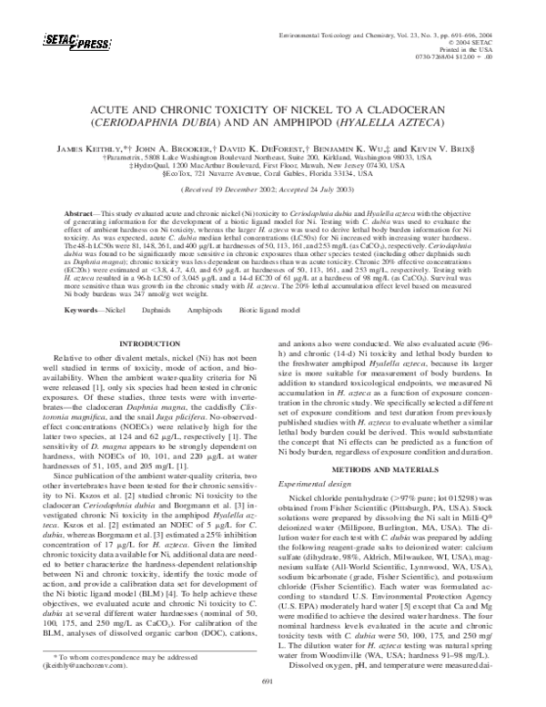 Hyalella azteca amphipod image