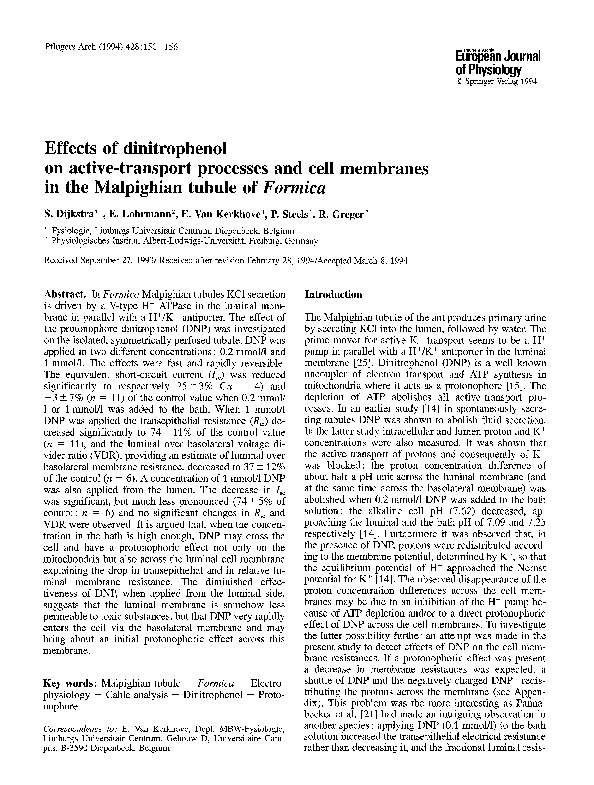 Dinitrophenol essay 08 image