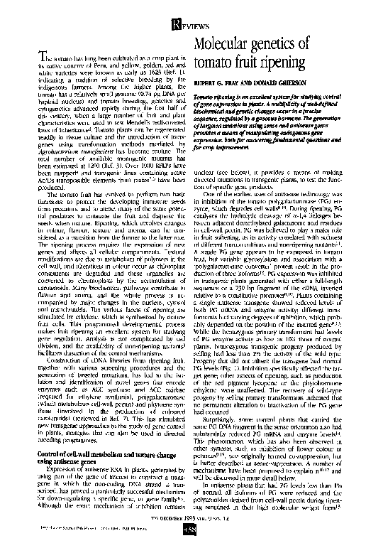 (PDF) Molecular genetics of tomato fruit ripening