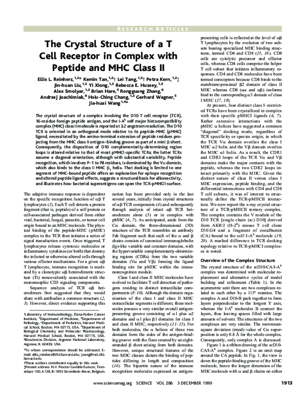 (PDF) The crystal structure of a t cell receptor in complex with ...