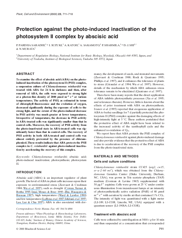 Photosystems summary essay image
