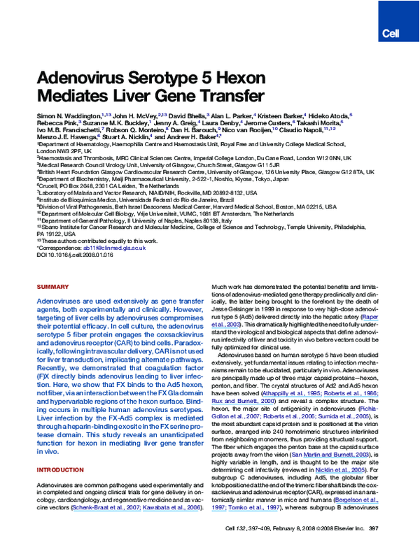(PDF) Adenovirus Serotype 5 Hexon Mediates Liver Gene Transfer