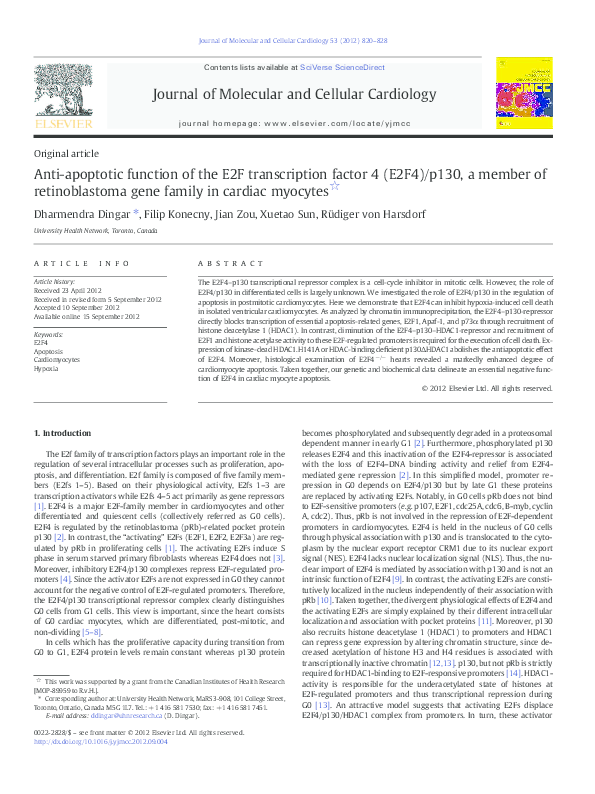 (PDF) Anti-apoptotic function of the E2F transcription factor 4 (E2F4 ...