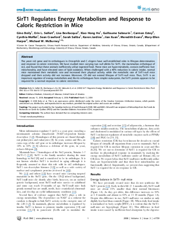 (PDF) SirT1 Regulates Energy Metabolism and Response to Caloric ...