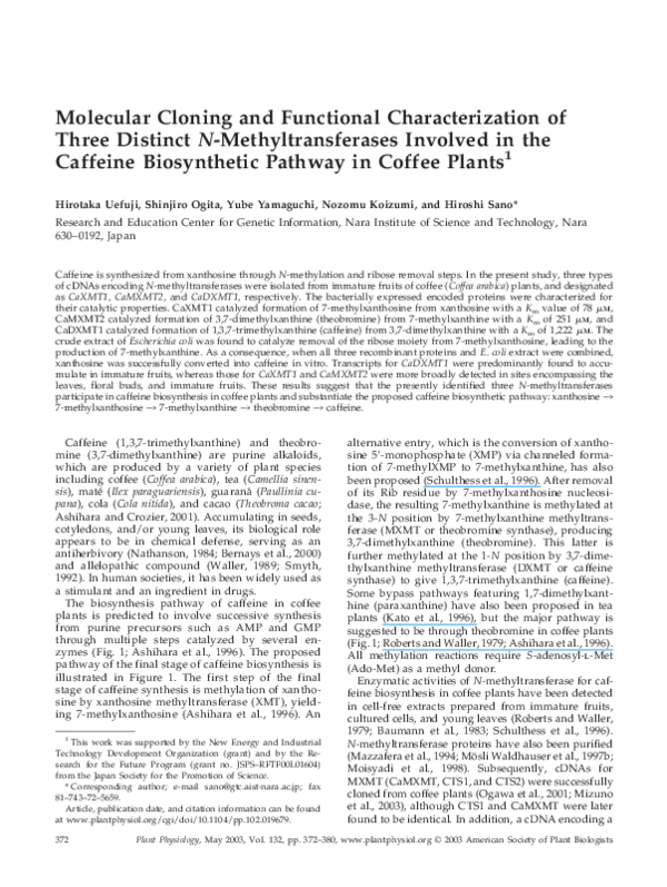 (PDF) Molecular cloning and functional characterization of a unique ...