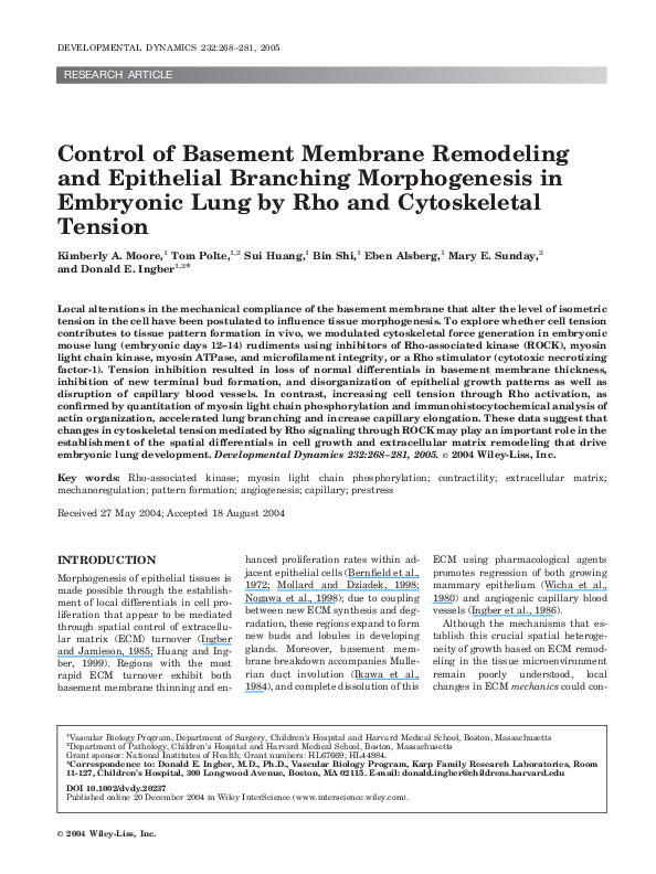 (PDF) Control of basement membrane remodeling and epithelial branching ...
