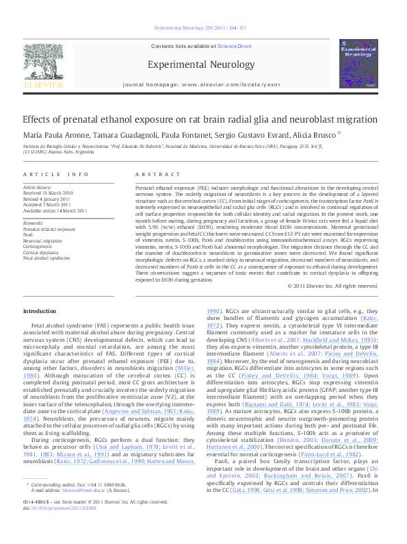 (PDF) Effects of prenatal ethanol exposure on rat brain radial glia and ...
