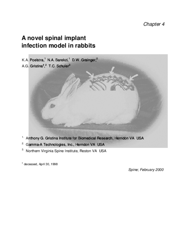 (PDF) A Novel Spinal Implant Infection Model in Rabbits