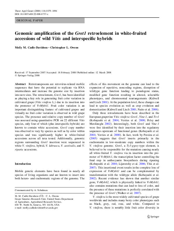 (PDF) Genomic amplification of the Gret1 retroelement in white-fruited ...