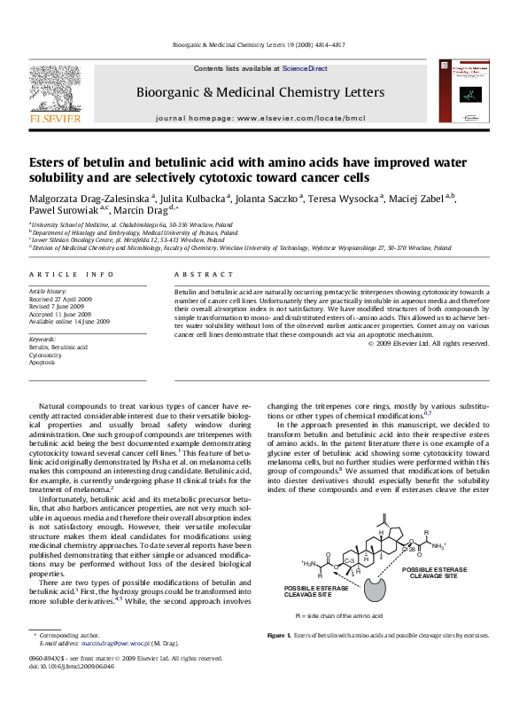 (PDF) Esters of betulin and betulinic acid with amino acids have ...