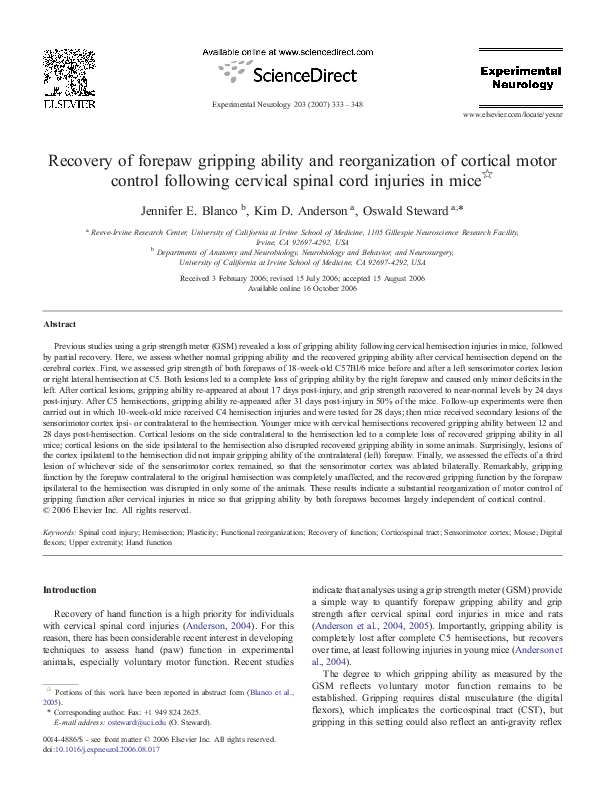 (PDF) Recovery of forepaw gripping ability and reorganization of ...