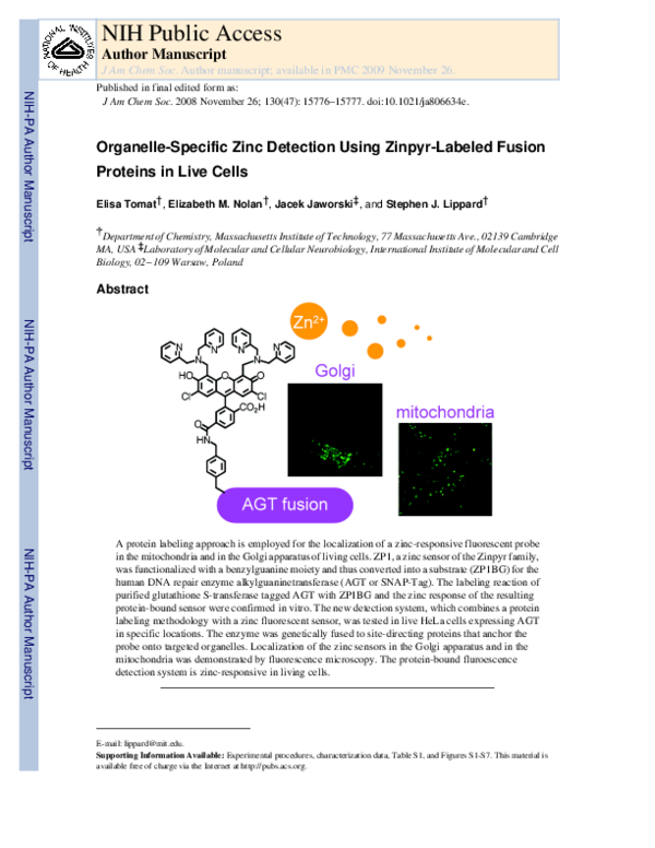 (PDF) Organelle-Specific Zinc Detection Using Zinpyr-Labeled Fusion ...