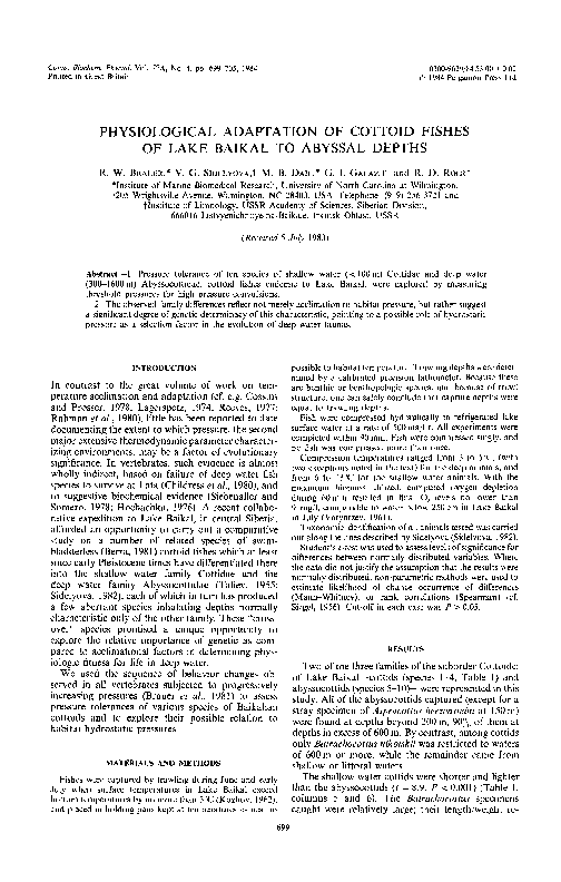 (PDF) Physiological adaptation of cottoid fishes of lake baikal to ...