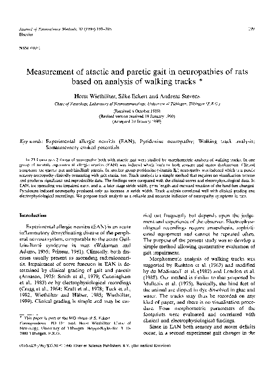 (PDF) Measurement of atactic and paretic gait in neuropathies of rats ...
