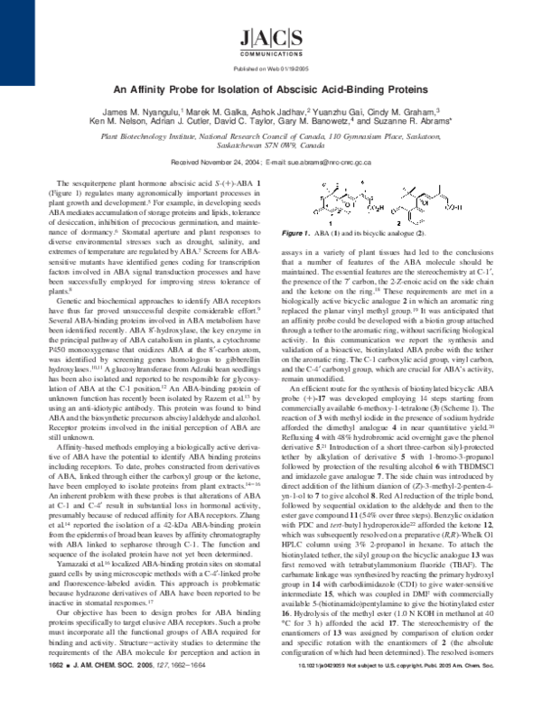 Thesis binding saskatoon 08 picture