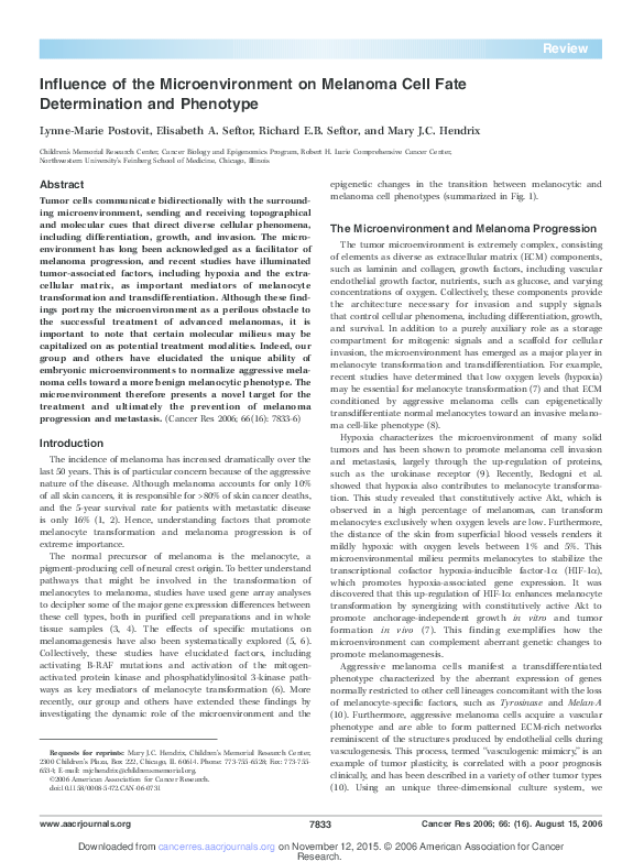 (PDF) Influence of the Microenvironment on Melanoma Cell Fate ...