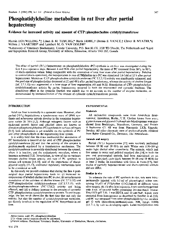 CTP PDF Demo