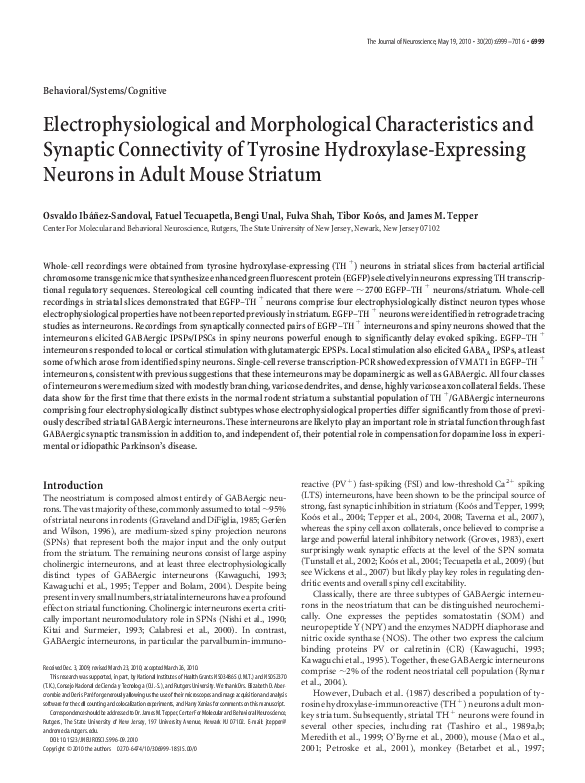 (PDF) Electrophysiological and Morphological Characterization of Rat ...