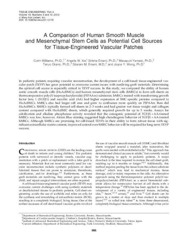 (PDF) A Comparison of Human Smooth Muscle and Mesenchymal Stem Cells as ...