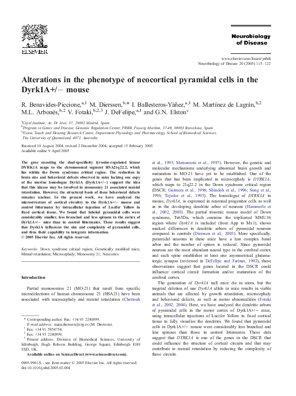 (PDF) Alterations in the phenotype of neocortical pyramidal cells in ...