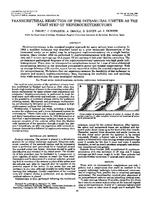 Sportsfest program of activities picture