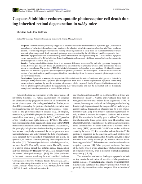 (PDF) Caspase-3 inhibitor reduces apototic photoreceptor cell death ...