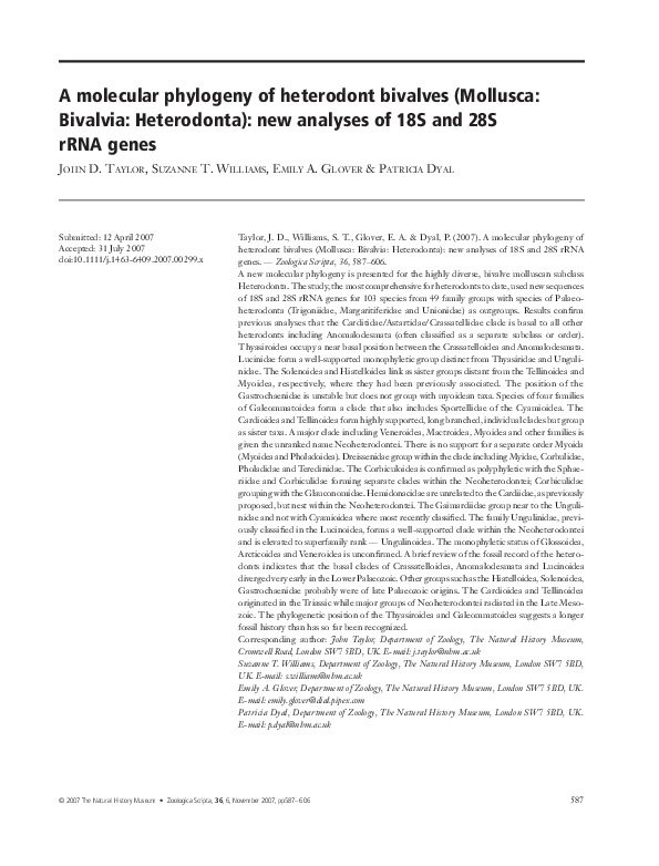 (PDF) A molecular phylogeny of heterodont bivalves (Mollusca: Bivalvia ...