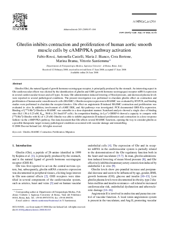 (PDF) Ghrelin inhibits contraction and proliferation of human aortic ...