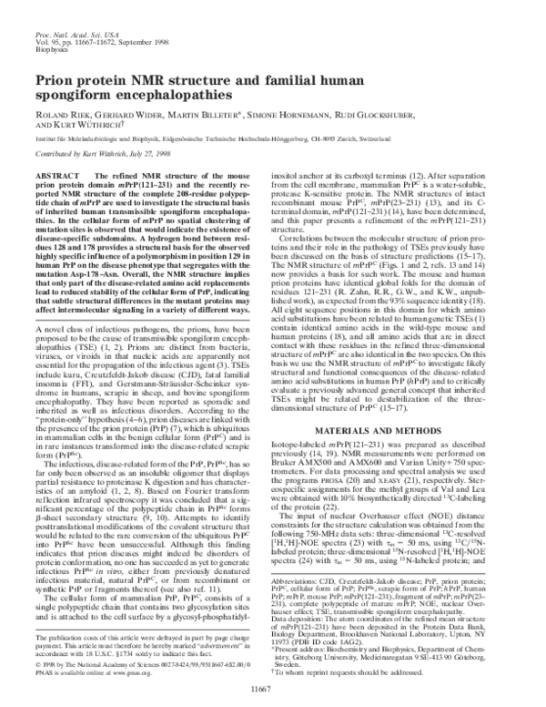 (PDF) Prion Protein NMR Structure and Familial Human Spongiform ...