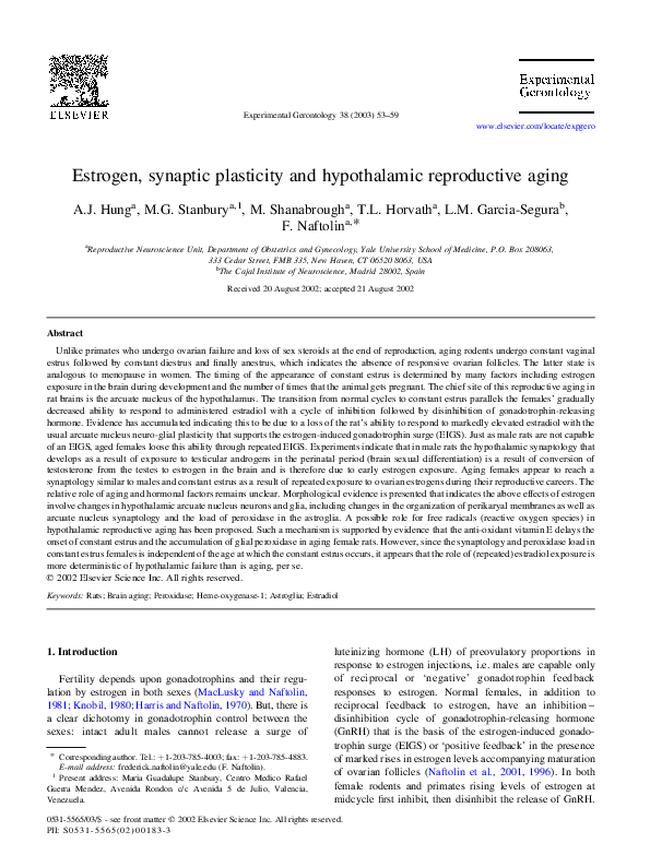 (PDF) Estrogen, synaptic plasticity and hypothalamic reproductive aging
