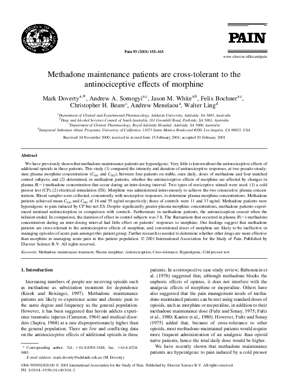 Methadone essay 08 picture