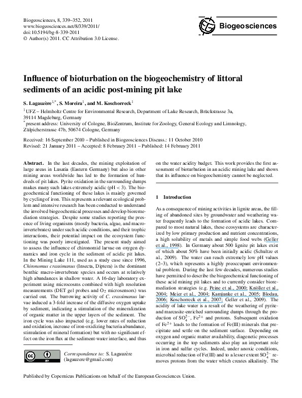 Littoral ocean zone picture