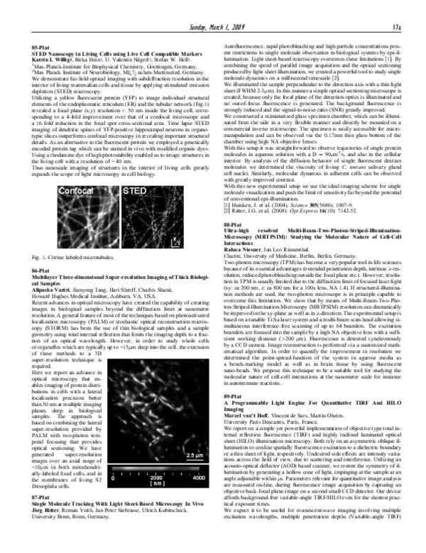 (PDF) Single Molecule Tracking With Light Sheet-Based Microscopy In Vivo