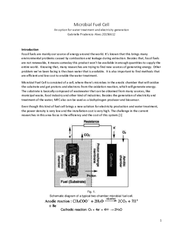 (PDF) Microbial Fuel Cell Gabrielle Prudencio Academia.edu