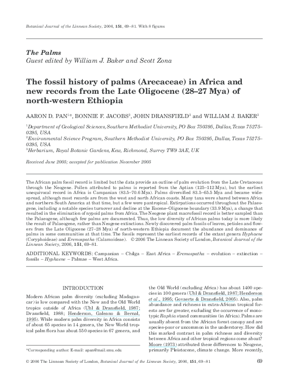 (PDF) The fossil history of palms (Arecaceae) in Africa and new records from the Late Oligocene