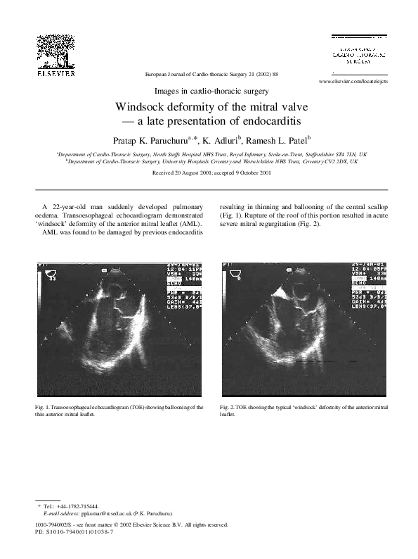 (PDF) Windsock deformity of the mitral valve — a late presentation of
