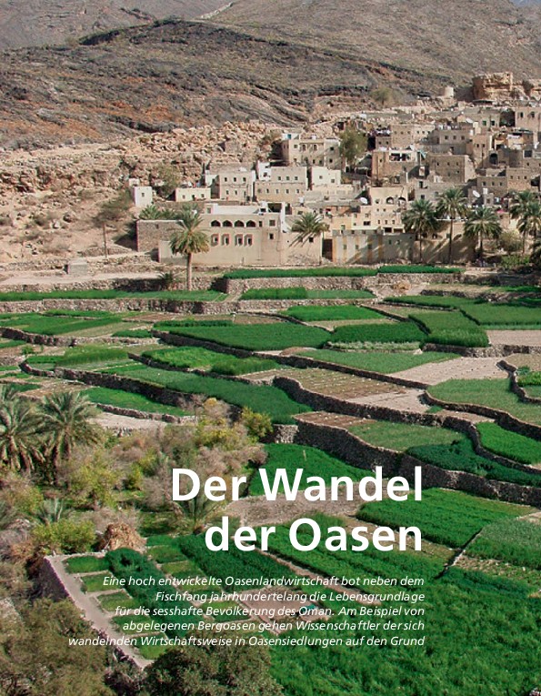(PDF) Der Wandel der Oasen